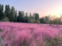 -汉长安城未央宫国家考古遗址公园