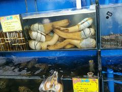-蚝专家(北滘店)
