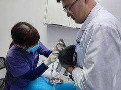 -萌兽医馆·绝育·24小时内科·宠物医院(德胜店)