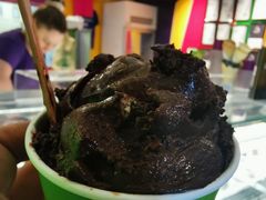 -Dooley's Premium Ice Cream