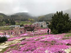 -棒棰岛宾馆景区