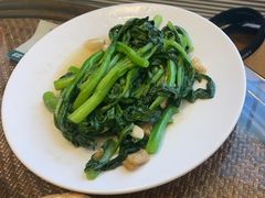 -老广酒楼(樱花店)
