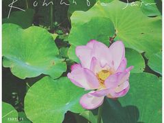 -嘉北郊野公园