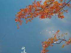 -颐和园