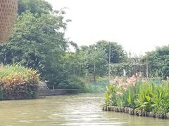 -江门古劳水乡旅游区