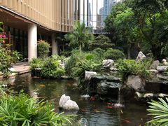 -融侨大酒店-榕苑自助餐厅