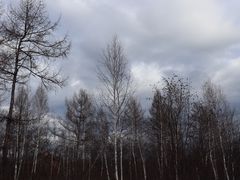 -北极村旅游风景区