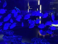 -上和臻品中国菜(花园街店)