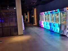 -幸福蓝海影城(上海闵行日月光中心杜比全景声店)