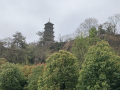 -九华山公园