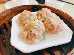 猪肉丸-满福隆酒楼(万绿园店)