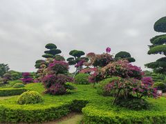 -南宁南湖公园