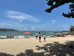 -南丫岛
