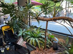 -J Create城市露营咖啡·简餐·宠物(上海动物园店)