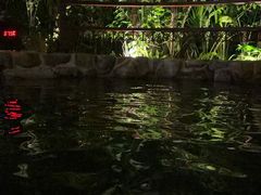 -厦门日月谷温泉渡假村