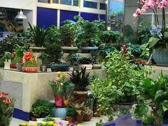 -双季花艺园艺市场(浦东店)
