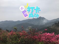 -木兰云雾山