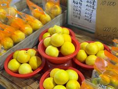 -西归浦每天偶来市场