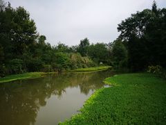 -桤木河湿地公园