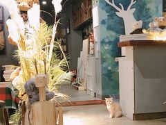 -咖法森林·咖啡  酒吧(天河店)