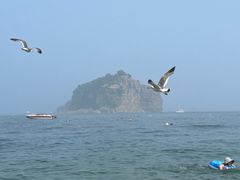 -棒棰岛宾馆景区