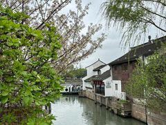 -孙盛兴奥灶面馆·蟹黄面·三虾面(山塘街总店)