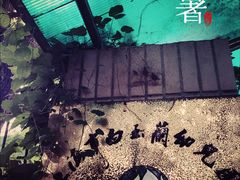 -上海市白玉兰幼儿园