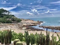 -广东惠东海龟国家级自然保护区
