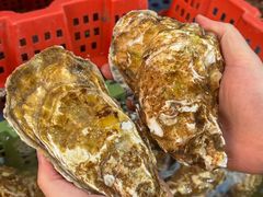 -坛南湾阿强农家乐.海鲜大排档老字号(福州地标美食店)