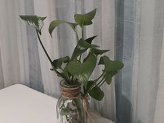 景观位-渝信川菜(华盛店)