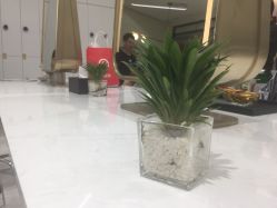 -梵创造型