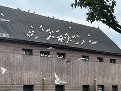 -溪口-滕头旅游景区