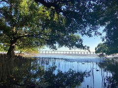 -宝安西湾红树林湿地公园