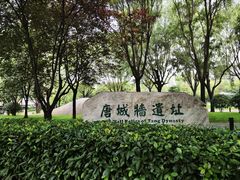 -大唐不夜城