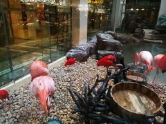 -白虎自助餐厅·真老虎·景观自助餐厅(广州长隆酒店)