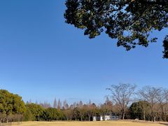 -上海滨江森林公园