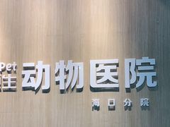 -宠颐生动物医院·猫科·心脏科(海口分院)