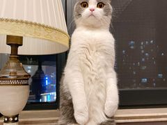 -佳雯宠物医院(金华南路分院)