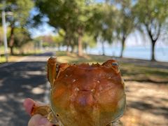 -阳澄湖半岛旅游度假区
