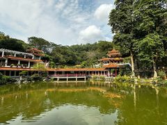 -深圳仙湖植物园