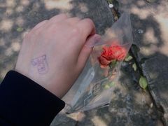 -东信·和创园