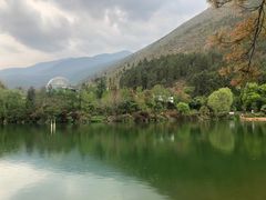 -蝴蝶泉公园