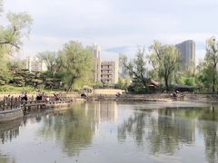 -迎泽公园
