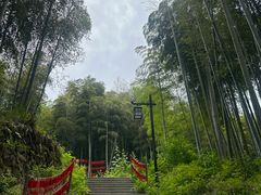 -东明山森林公园