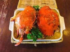 -茉莉.Red Crab