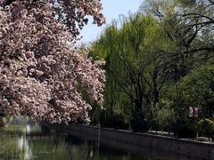 -元大都城垣遗址公园