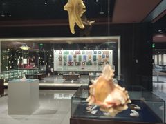 -青岛贝壳博物馆