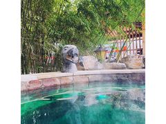 -中家鑫园温泉酒店鑫悦汤泉