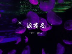 -哈尔滨波塞冬海底世界