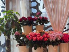 -龟兹KUCINA·新疆菜(前滩L+PLAZA店)